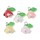 Mixed Color Glass Pearl & Acrylic Charms(PALLOY-JF02567-01)-1