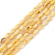 Natural Freshwater Shell Dyed Beads Strands(SHEL-M018-13-09)-1