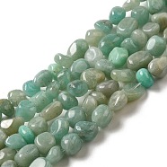 Natural Amazonite Beads Strands, Nuggets, Tumbled Stone, 3.5~9x4~6.5x4~6mm, Hole: 1mm, 14.96''(38cm)(G-D081-A06)