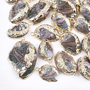Electroplate Sea Shell Pendants, with Iron Findings, Light Gold, Colorful, 20~35x14~24x4~7mm, Hole: 2mm(X-SSHEL-S262-29)