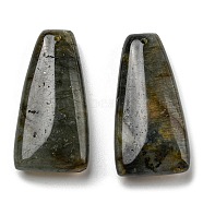 Natural Labradorite Pendants, Trapezoid Charms, 40.5x20.5x8.5~9mm, Hole: 1.2mm(G-M405-11)