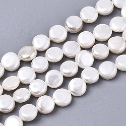 Natural Freshwater Shell Beads Strands, Flat Round, Linen, 6x3mm, Hole: 0.7mm, about 59~62pcs/strand, 13.70 inch~14.45 inch(34.8~36.7cm)(SHEL-N026-50B-01)