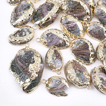 Electroplate Sea Shell Pendants, with Iron Findings, Light Gold, Colorful, 20~35x14~24x4~7mm, Hole: 2mm