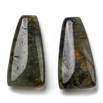 Natural Labradorite Pendants, Trapezoid Charms, 40.5x20.5x8.5~9mm, Hole: 1.2mm