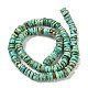 Natural Turquoise Beads Strands(G-P506-05B)-2