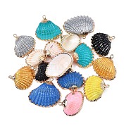 Spray Paint & Electroplate Sea Shell Pendants, with Iron Findings, Light Gold, Mixed Color, 16~26x17~28x7~10mm, Hole: 2mm(SSHEL-S262-08)