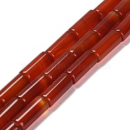 Natural Red Agate Beads Strands, Column, Dyed & Heated, 18.5~19x8~8.5mm, Hole: 1.4mm, about 20pcs/strand, 14.80~14.96''(37.6~38cm)(G-NH0020-A01-01)