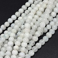 Natural Moonstone Beads Strands, Round, 6mm, Hole: 0.8mm, about 63pcs/strand, 15.5 inch(39.5)(G-F602-03-6mm)
