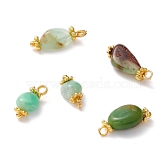 Natural Chrysoprase Charms, with Brass Eye Pin & Alloy Daisy Spacer Beads, Golden, Nuggets, 12~17x6~7.5x3.5~5mm, Hole: 2mm(PALLOY-JF01093-02)