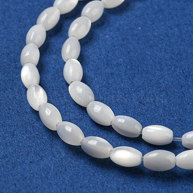 Natural Trochus Shell Beads Strands(SSHEL-H072-02A)-3
