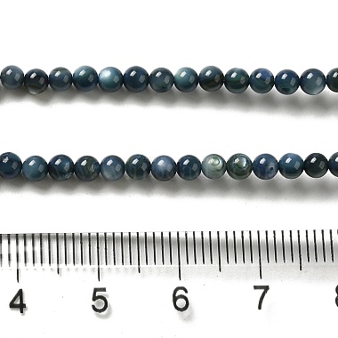 Natural Freshwater Shell Beads Strands(SHEL-H003-03C)-4