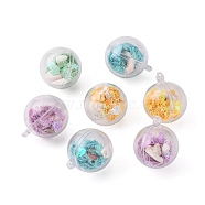 Openable Transparent Plastic Container Pendants, with Shell and Sequins, Round, Mixed Color, 36.5x30~30.5x30~30.5mm, Hole: 2.5mm(KY-S159-02)