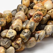 Natural Crazy Agate Nuggets Bead Strands, Tumbled Stone, 13~18x10~13mm, Hole: 1mm, about 21~26pcs/strand, 15.74 inch(G-L288-12)