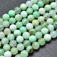 Natural Chrysoprase Beads Strands, Round, 3.5~4.5mm, Hole: 0.5mm, about 98pcs/Strand, 15.55 inch(39.5cm)(G-K305-13-B)