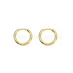 304 Stainless Steel Hoop Earrings, Ring, Golden, 24x2mm(EJEW-WH20006-10B-G-1)