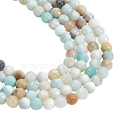 2 Strands Natural Frosted Flower Amazonite Round Beads Strands, 4mm, Hole: 1mm, 96pcs/strand, 15.5 inch(G-NB0004-44)
