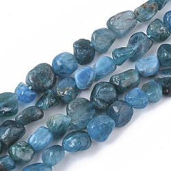 Natural Apatite Beads Strands, Nuggets, Tumbled Stone, 5~11x3~8x3~6mm, Hole: 0.8mm, about: 52~56pcs/Strand, 15.94 inch(40.5cm)(X-G-S363-046A)